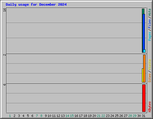 Daily usage for December 2024