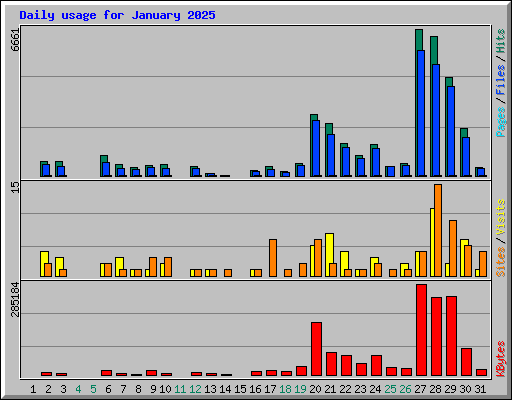 Daily usage for January 2025