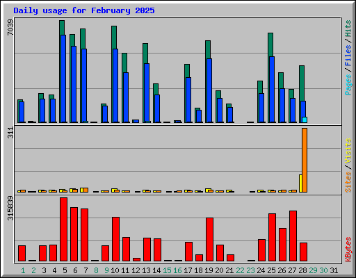 Daily usage for February 2025