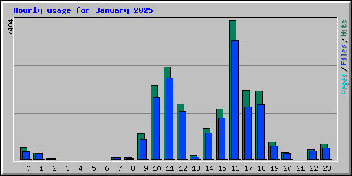 Hourly usage for January 2025