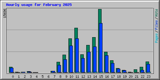 Hourly usage for February 2025