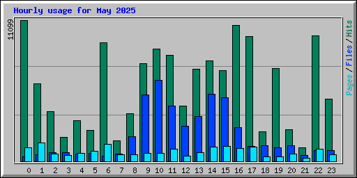 Hourly usage for May 2025