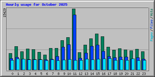 Hourly usage for October 2025